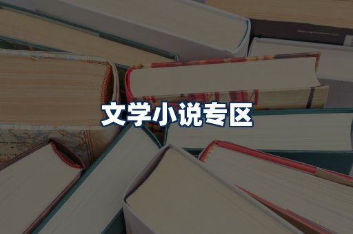 文学小说PDF展示
